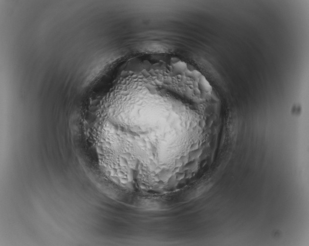 X0000112490359200909071226