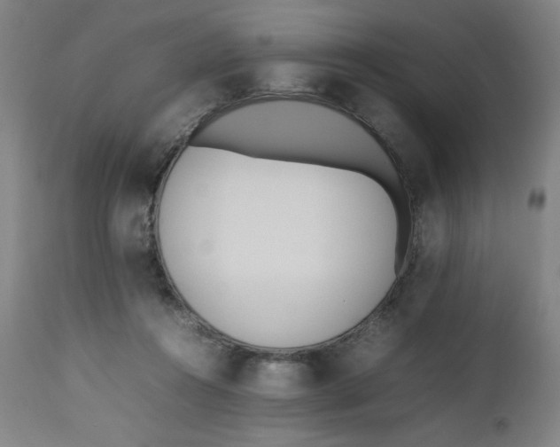X0000112490360200909071226