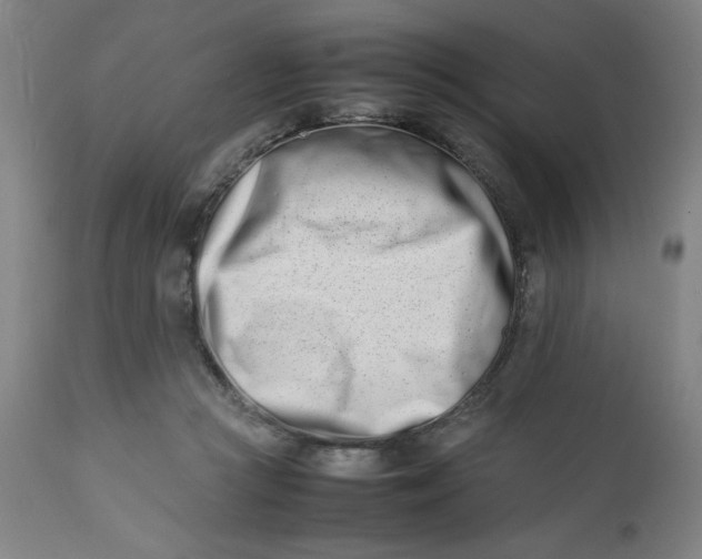 X0000112490361200909071226