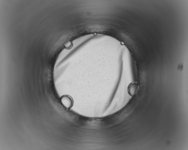 X0000112490362200909071226