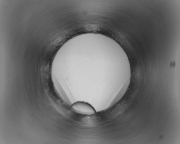 X0000112490364200909071226