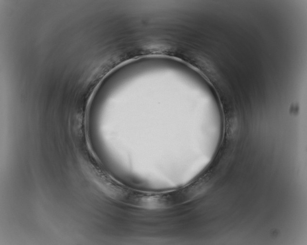 X0000112490365200909071226