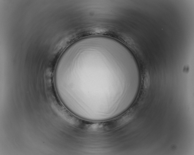 X0000112490366200909071226