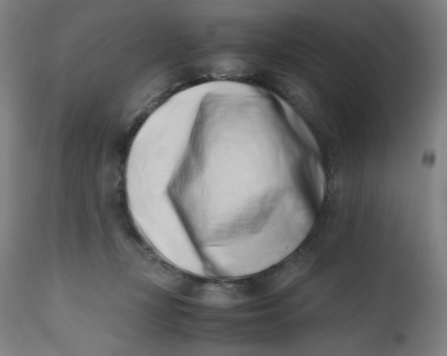 X0000112490367200909071226