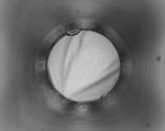 X0000112490368200909071226