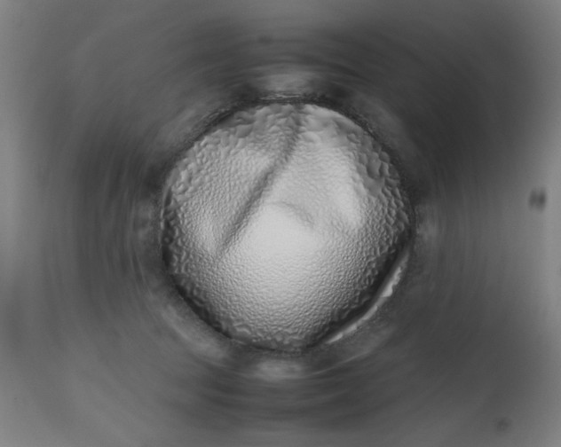 X0000112490369200909071226