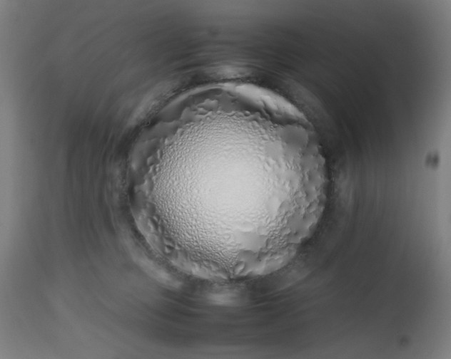 X0000112490373200909071226