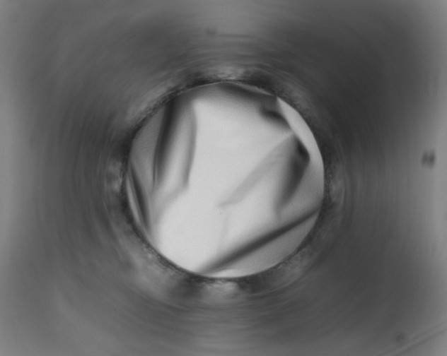 X0000112490374200909071226