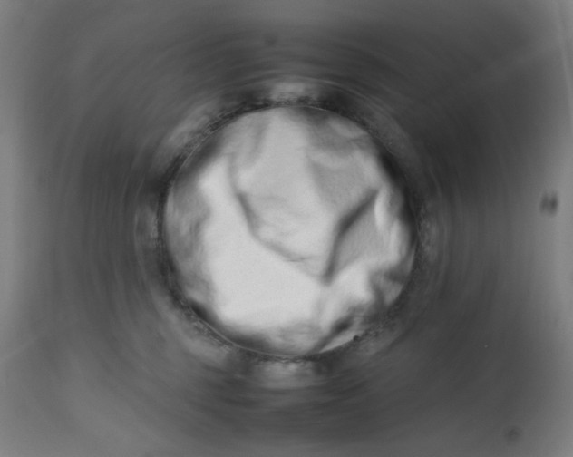 X0000112490375200909071226