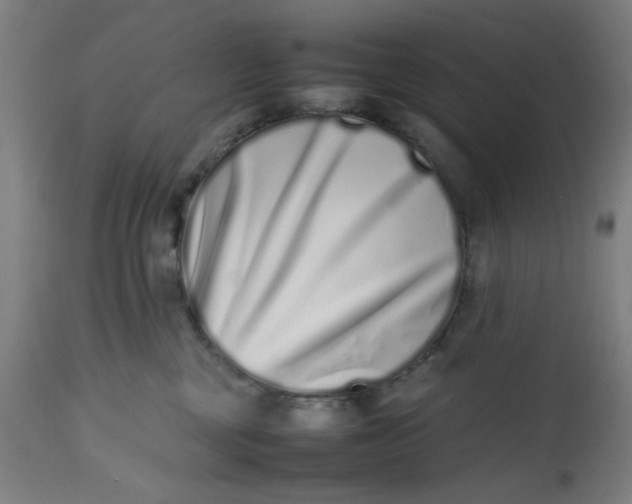 X0000112490377200909071226