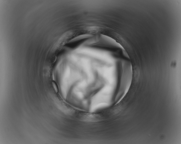 X0000112490379200909071226