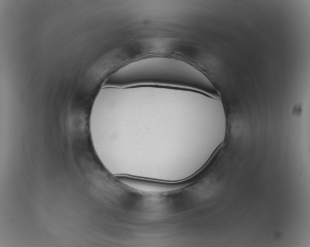 X0000112490380200909071226