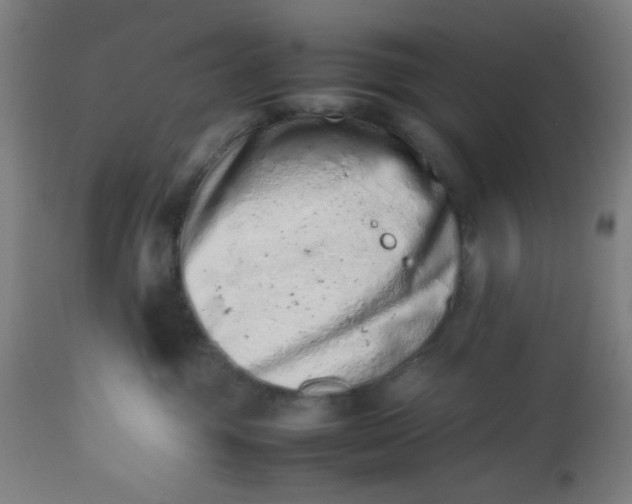 X0000112490381200909071226