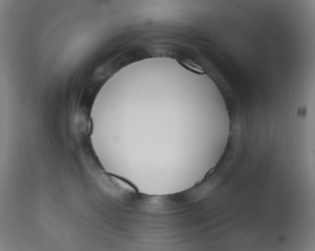 X0000112490382200909071226