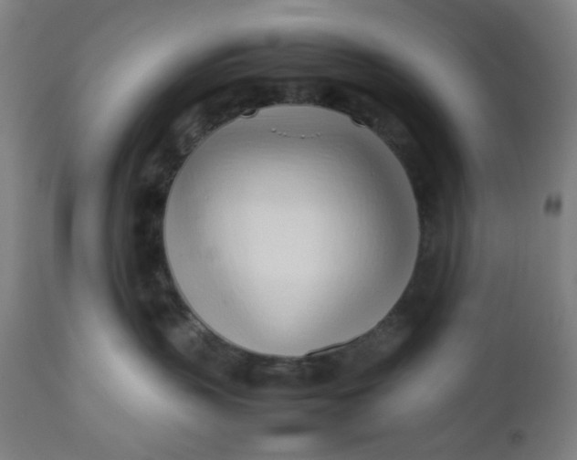 X0000112490383200909071227