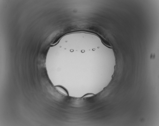 X0000112490384200909071227