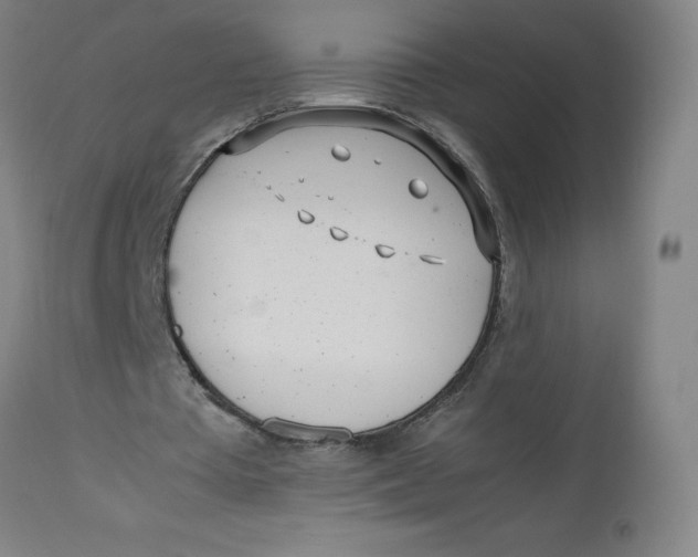 X0000112490385200909071226