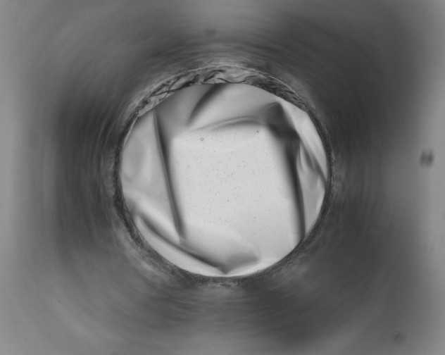 X0000112490386200909071226