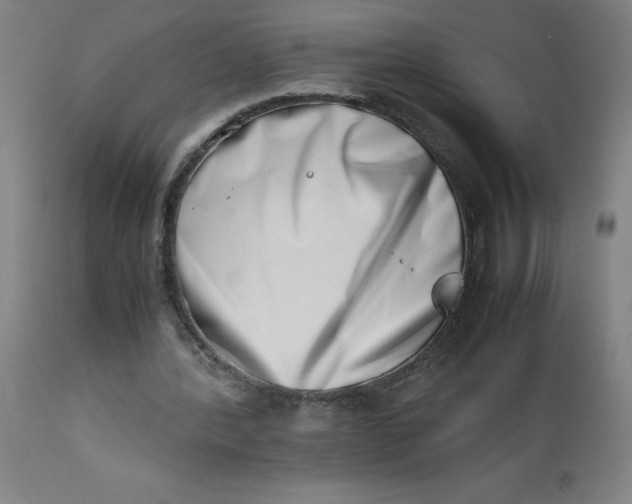 X0000112490388200909071226