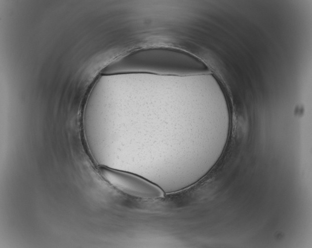 X0000112490389200909071226