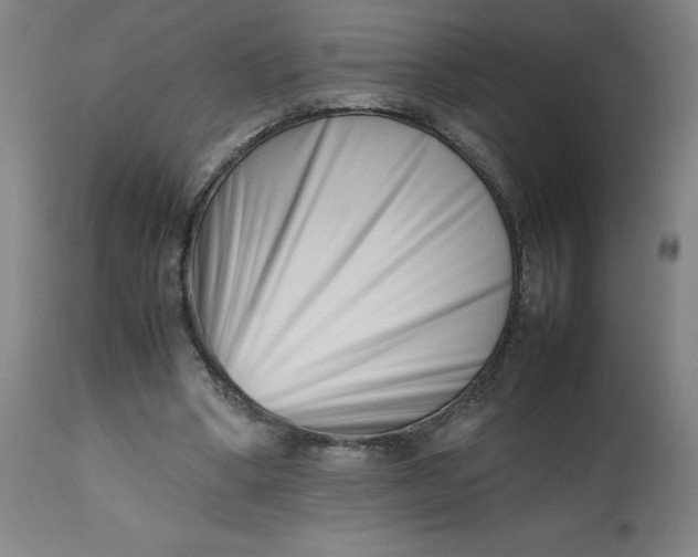 X0000112490394200909071226