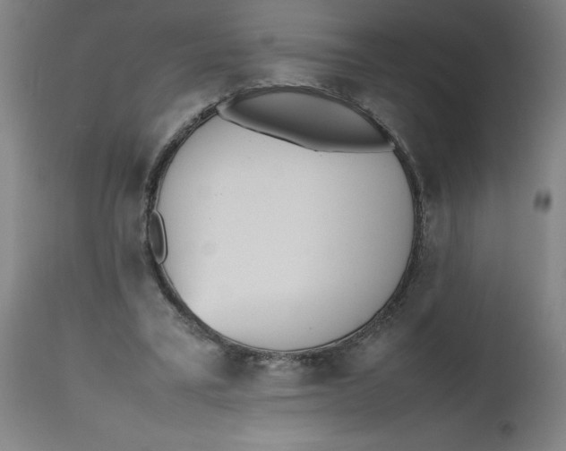 X0000112490395200909071226