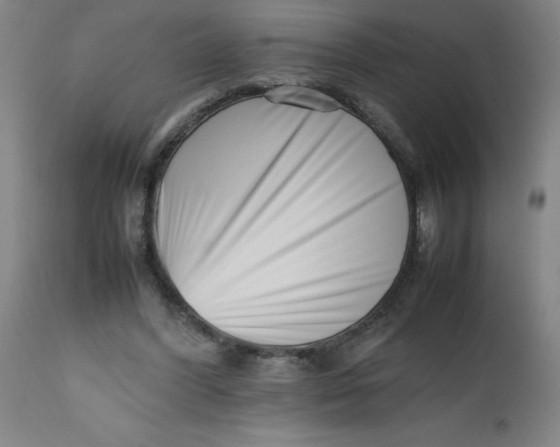 X0000112490396200909071226