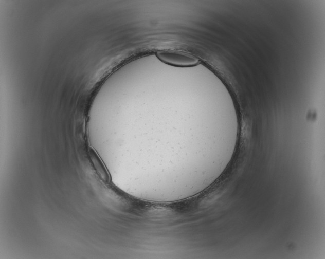 X0000112490397200909071226