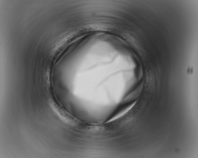 X0000112490398200909071226