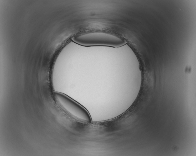 X0000112490399200909071226