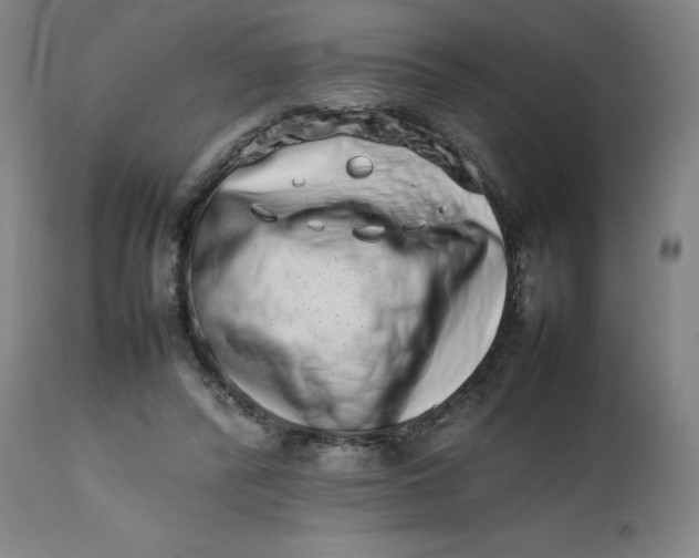 X0000112490400200909071226