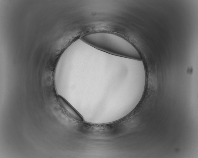X0000112490401200909071226
