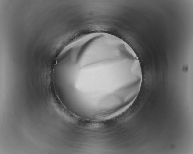 X0000112490402200909071226