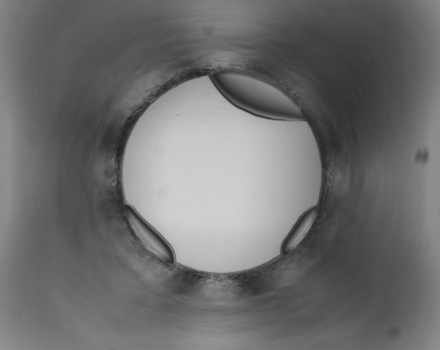 X0000112490403200909071226