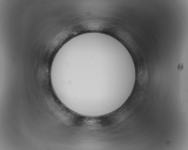 X0000112490407200909071226