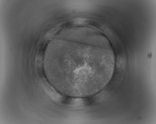X0000112490409200909071226