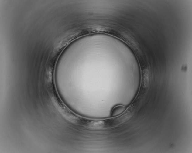 X0000112490410200909071226