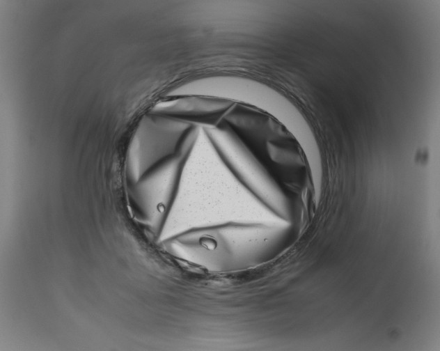 X0000112490411200909071226