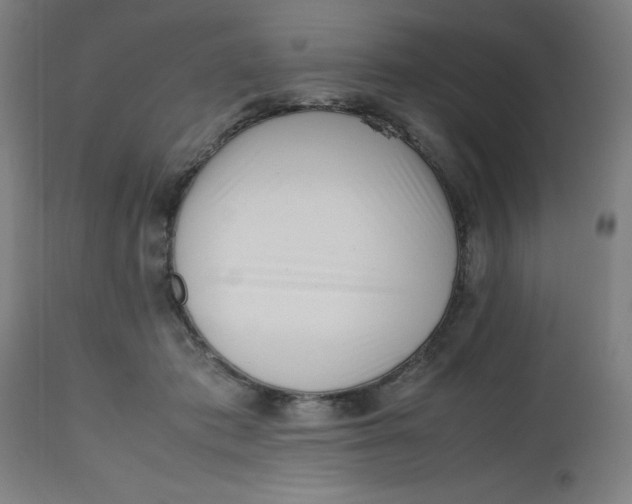X0000112490413200909071225