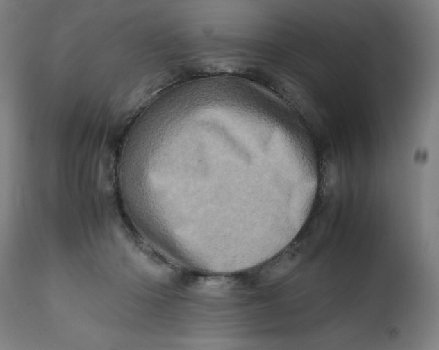 X0000112490414200909071225