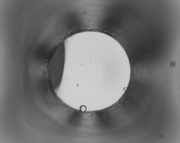 X0000112490415200909071225