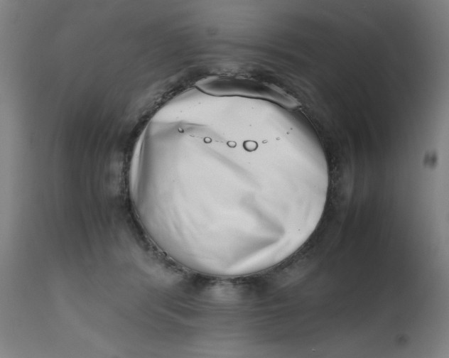 X0000112490416200909071225
