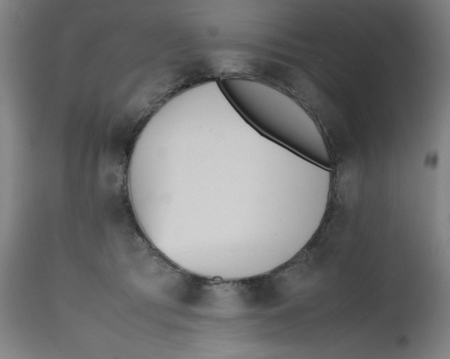 X0000112490417200909071225