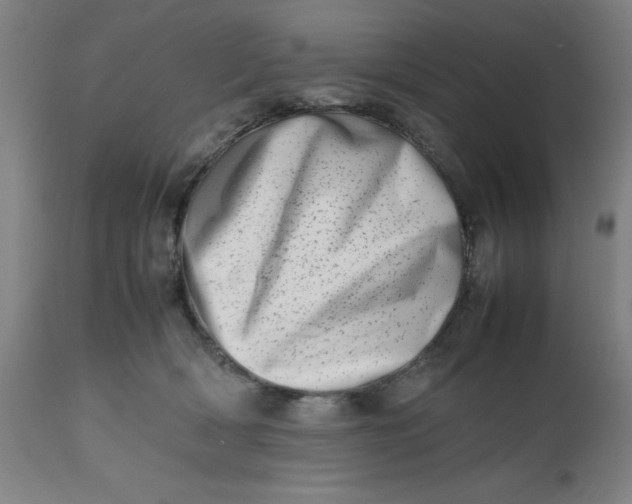 X0000112490418200909071225
