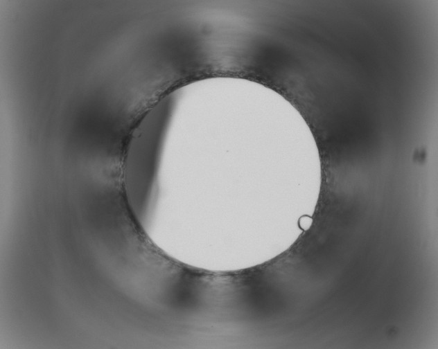 X0000112490419200909071225