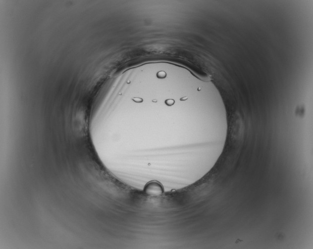 X0000112490420200909071225