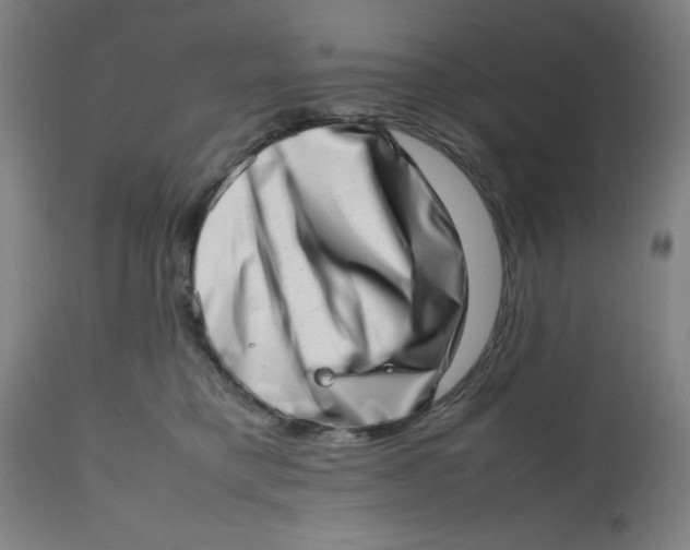 X0000112490421200909071225