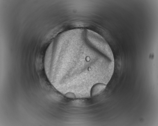 X0000112490422200909071225