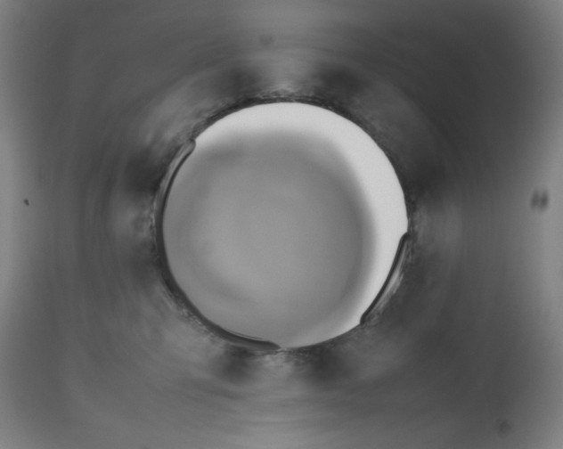 X0000112490423200909071225