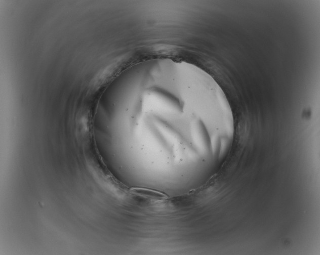 X0000112490424200909071225